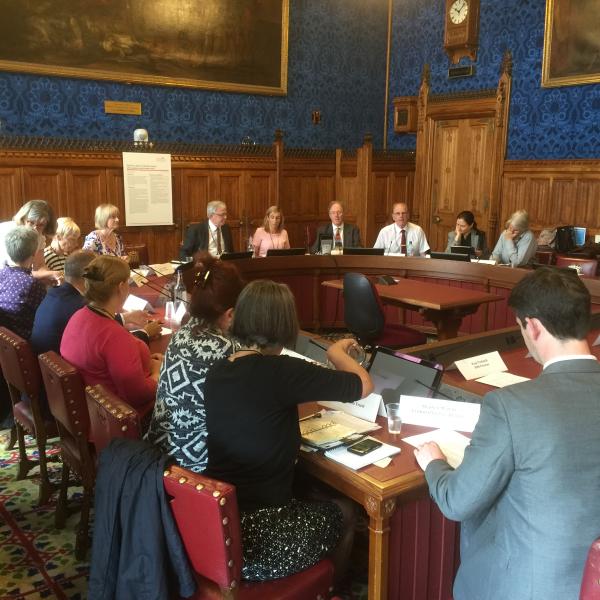 House of Lords seminar - 7.6.2016